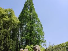 -上海醉白池公园