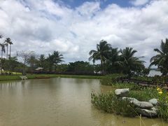 -沙美村