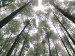 -山王坪喀斯特国家生态公园