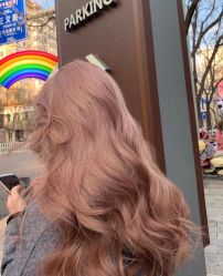 -T8 SALON