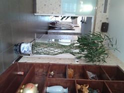 陈列-DRG达人馆造型