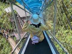 -鹿院坪生态旅游景区