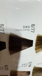 -莎丽轩护肤造型