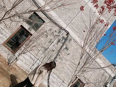 -辽宁大学(崇山校区)