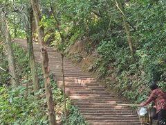 -青城山