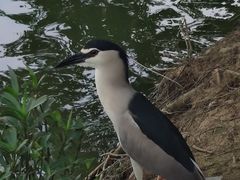 -海珠湖公园