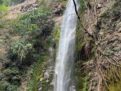 -莫里热带雨林景区