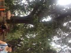 iphone_upload_pic-七曲山风景区