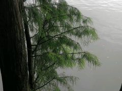 android_upload_pic-天目湖山水园