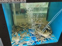 -鲜味食族水产·海鲜餐厅