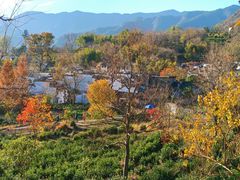-塔川景区