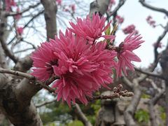 -颐和园