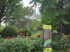 -丰台花园