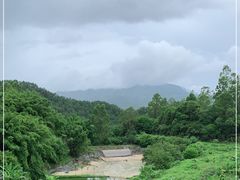 -天强农家菜馆