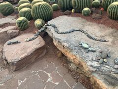 -南通洲际绿博园