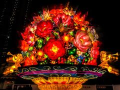 -锦江乐园舞狸花花游园会(夜场专享)