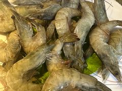 -二荆条·蜀鲜汇城市森林火锅