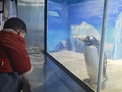 -重庆欢乐海底世界