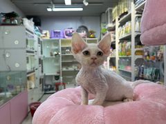 -天丰利生活MALL(和平里店)