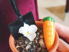 -The Lounge大堂酒廊·咖啡·沙拉·下午茶(金茂深圳JW万豪酒店)