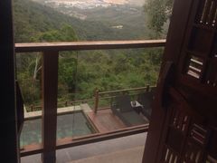 亚龙湾人间天堂-鸟巢度假村-三亚亚龙湾人间天堂鸟巢度假村