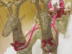 -蝶舍·MAISON PAPILLON