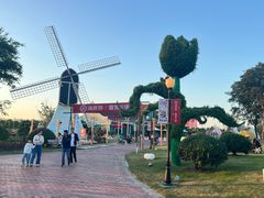 -荷兰花海