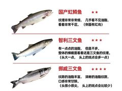 -乌鲁木齐环球国际大酒店