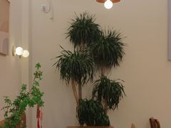 -Reset Coffee 与海咖啡