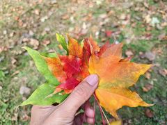 -长春公园(普阳街道)