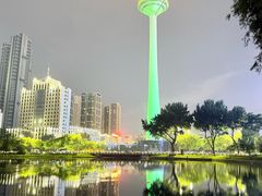 -辽宁电视塔