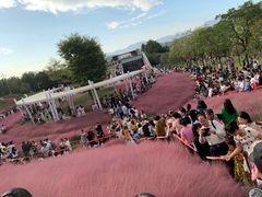 -牛岗山公园