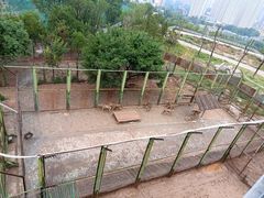 -青藏高原野生动物园