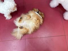 -和它·交个朋友·狗咖猫咖(爱琴海店)