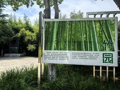 -石家庄市植物园