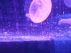 -波塞冬旅游度假区