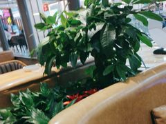 -荷花亭·湖北融合菜(十堰武商MALL店)