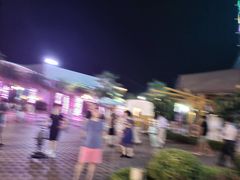 -三亚海昌梦幻海洋不夜城