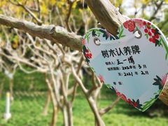 -嘉定紫藤园