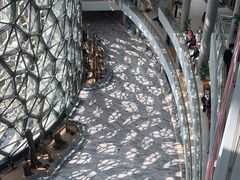 -上海自然博物馆