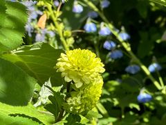 -三仟津花园咖啡馆