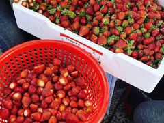 -十二中草莓冰·红豆沙冰屋(十二中店)