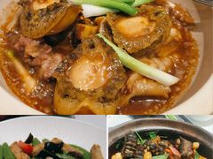 -侨美·唐荔园·40年地道粤菜