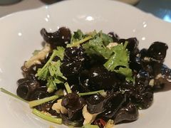 -洞庭家宴·头牌甲鱼(广渠门店)