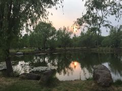 iphone_upload_pic-鹤壁迎宾馆