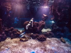-石家庄海洋公园