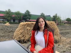 -洪湖家庭农场·团建·露营·会议