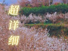 -樱桃山旅游景区