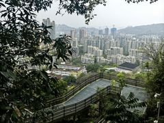 -福道