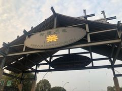 -荷塘月色湿地公园·向阳花洲
